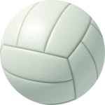 Thermo Bonded Volley Ball